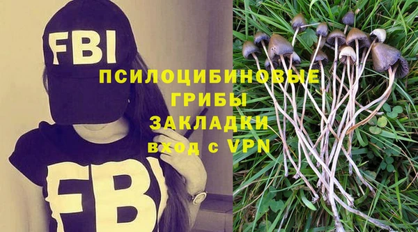 соль курить ск Зеленодольск